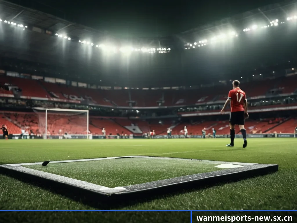 完美体育 APP 界面（wmsports）